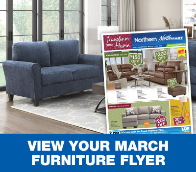 Furniture Flyer
